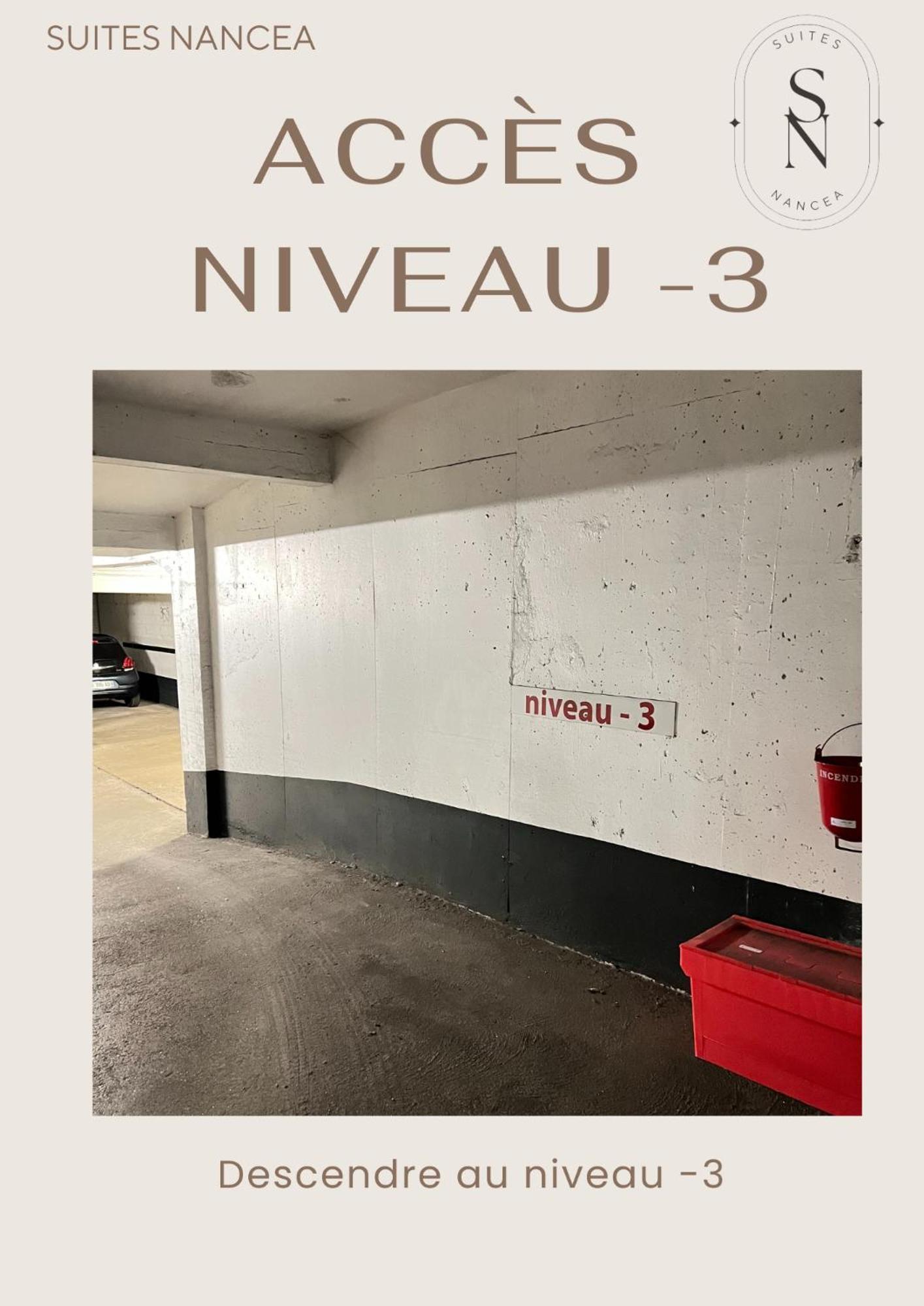 Vue Sur Le Palais - Nancy Gare Congres - Parking - T3 Leilighet Eksteriør bilde